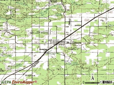 Mancelona topographic map