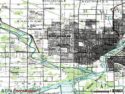 Saginaw Township South topographic map