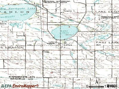 Lake Lillian topographic map
