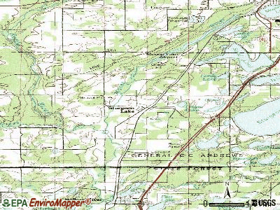 Sturgeon Lake topographic map