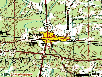 Forest topographic map