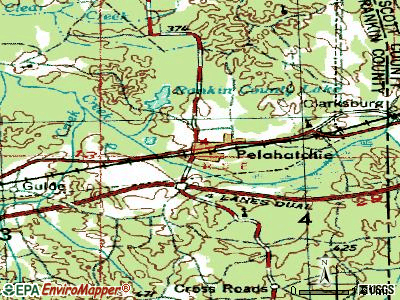 Pelahatchie topographic map