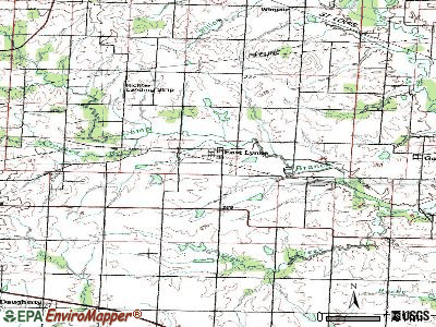 East Lynne topographic map