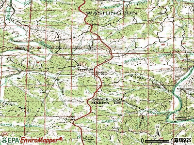 Freeburg topographic map