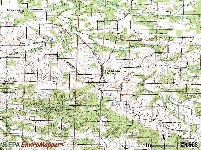 Pleasant Hope topographic map