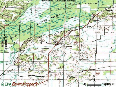 Puxico topographic map
