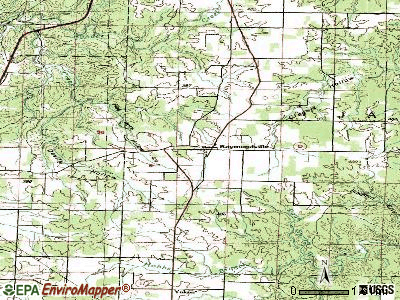 Raymondville topographic map