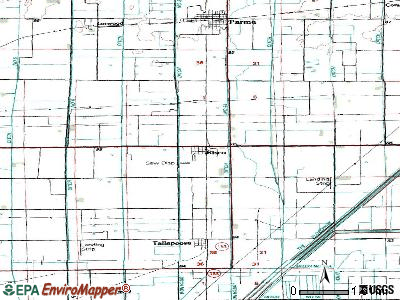 Risco topographic map