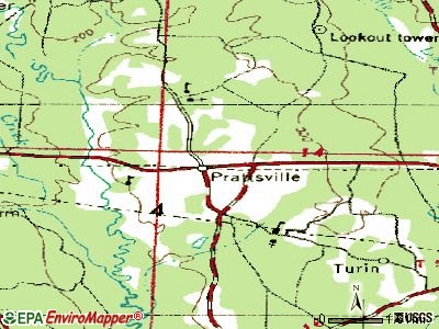 Prattsville topographic map