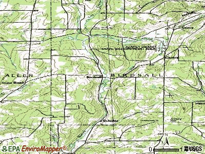 Birdsall topographic map