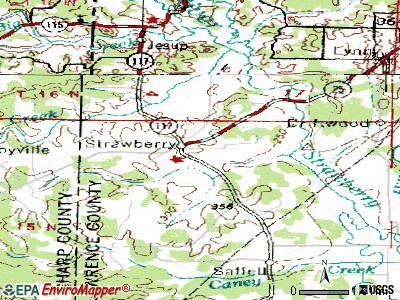 Strawberry topographic map