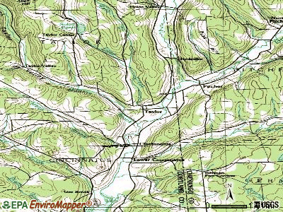 Taylor topographic map