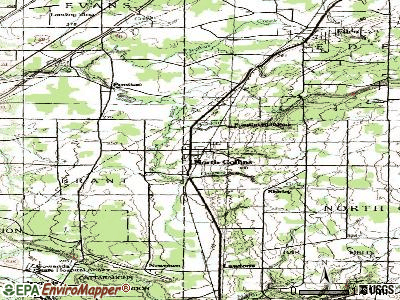 North Collins topographic map