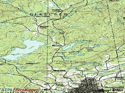 Bleecker topographic map