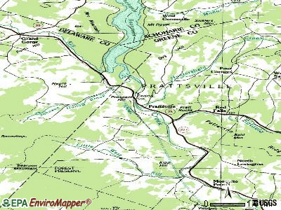 Prattsville topographic map