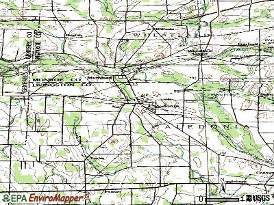 Caledonia topographic map