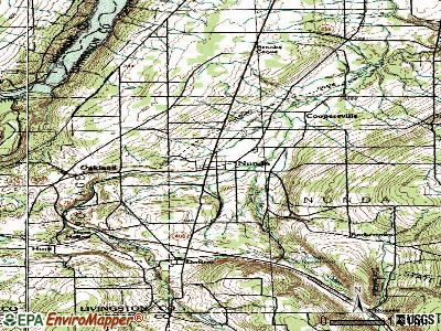 Nunda topographic map