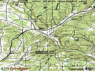 Cayuta topographic map