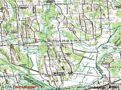 Savannah topographic map