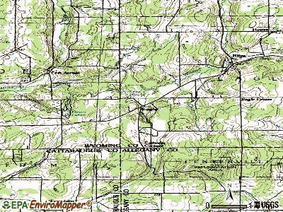 Eagle topographic map
