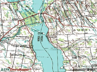 Cayuga topographic map