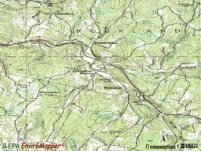 Livingston Manor topographic map