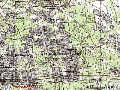 Selden topographic map
