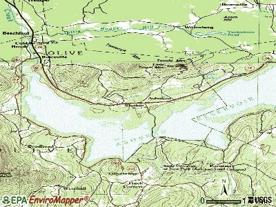 Shokan topographic map