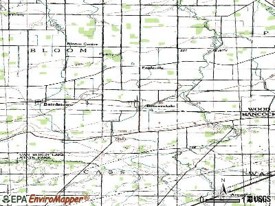 Bloomdale topographic map