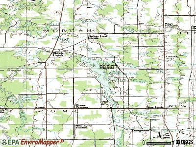 Roaming Shores topographic map