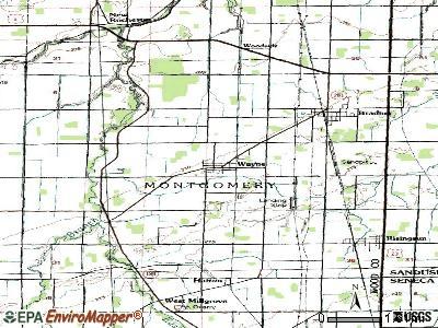 Wayne topographic map