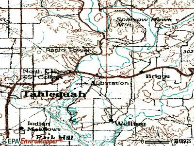 Briggs topographic map