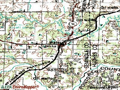 Sasakwa topographic map