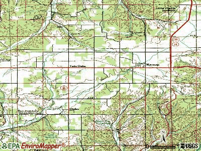 Twin Oaks topographic map