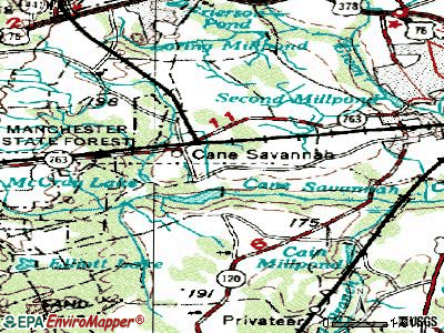 Cane Savannah topographic map