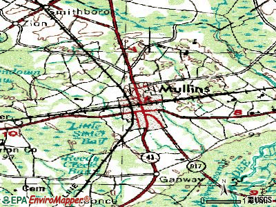 Mullins topographic map
