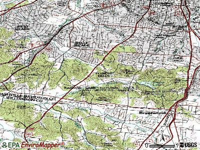 Forest Hills topographic map