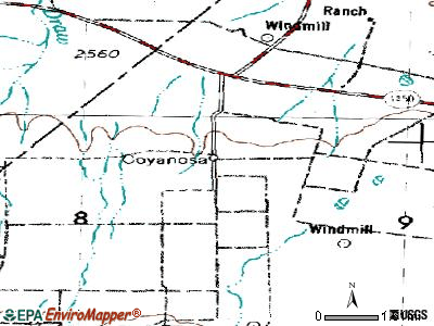 Coyanosa topographic map