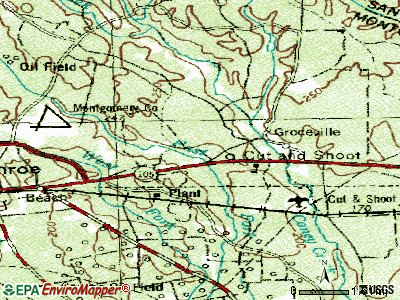 Cut and Shoot topographic map