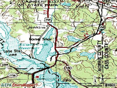 Lone Star topographic map