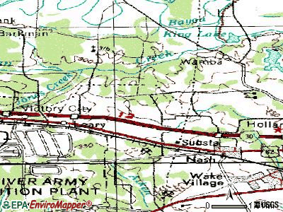 Red Lick topographic map