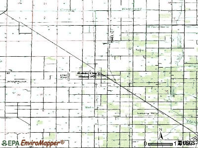Raisin City topographic map