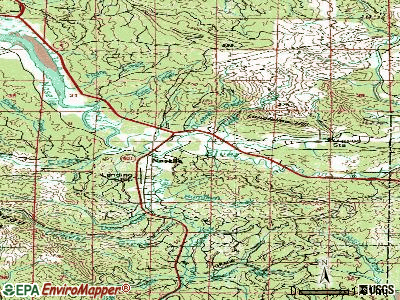 Naselle topographic map