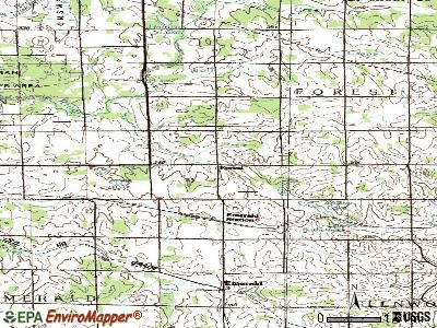 Forest topographic map