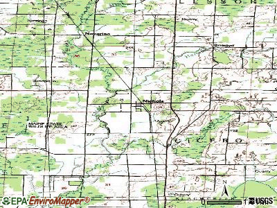 Nichols topographic map