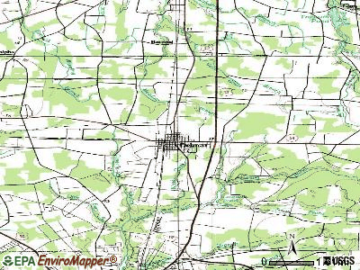 Delmar topographic map