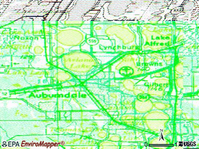 Auburndale topographic map