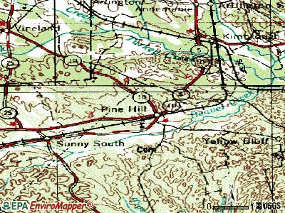 Pine Hill topographic map