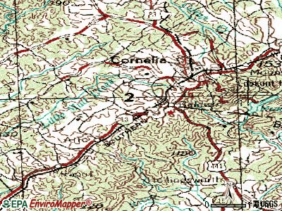 Baldwin topographic map
