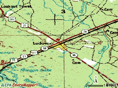 Ludowici topographic map